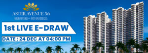 aster avenue 36