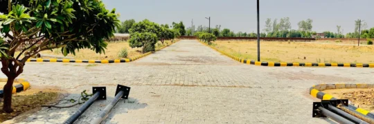 rlf city